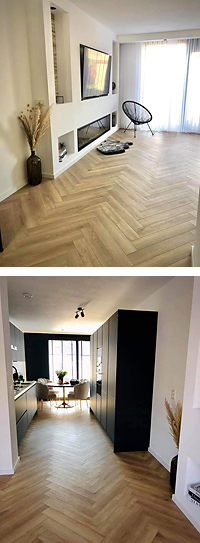 Visgraat-van-COREtec-ab