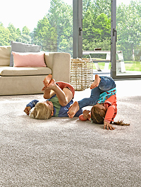 Zachte-zijdeglans-Lexus-SDN