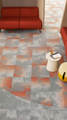 Toepassing-More-Than-Human