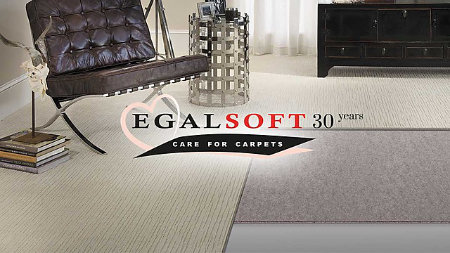 Header mailing Egalsoft 30y