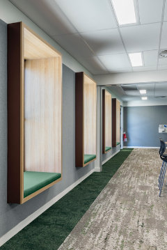 UCG Escarpment Rainforest Canopy Shallows Rainforest 1