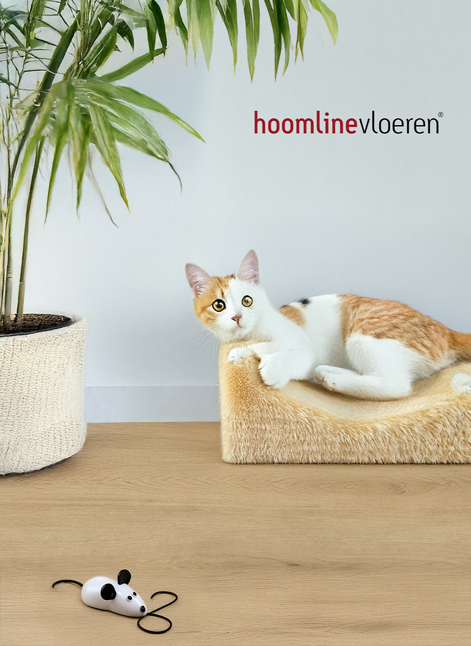 City Rigid Click Haarlem